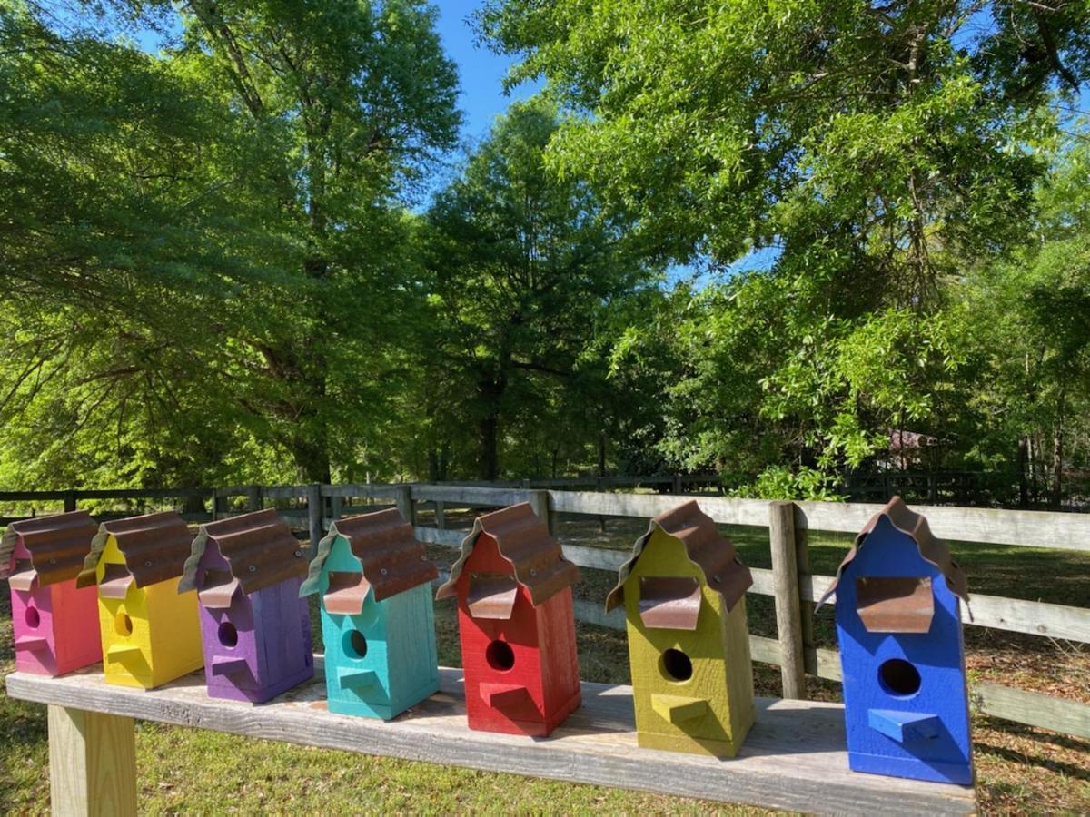 The Birdnest Inn Aiken Luaran gambar